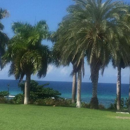 C'Daview Apartment Suite Montego Bay Dış mekan fotoğraf