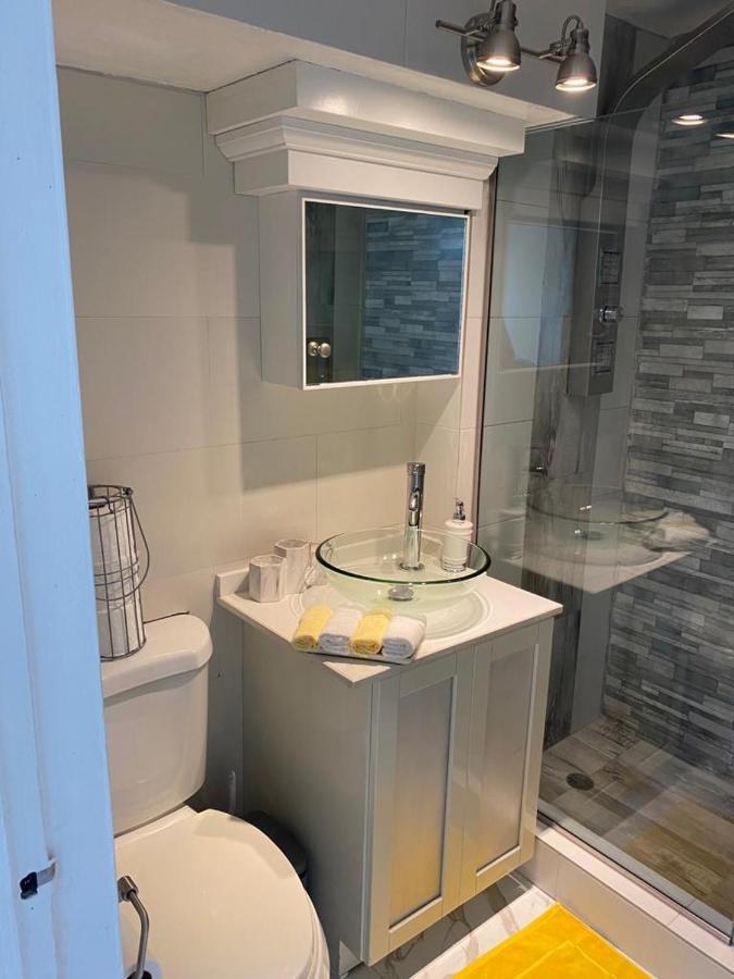 C'Daview Apartment Suite Montego Bay Dış mekan fotoğraf